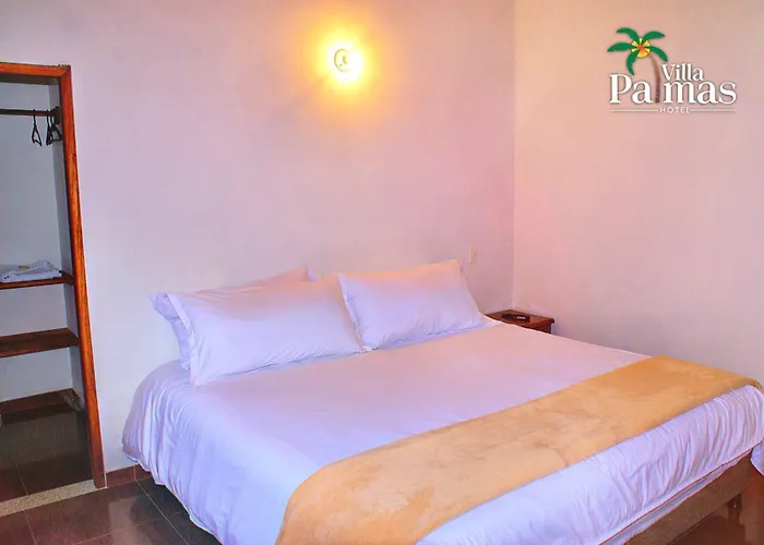 Hotel Villa Palmas