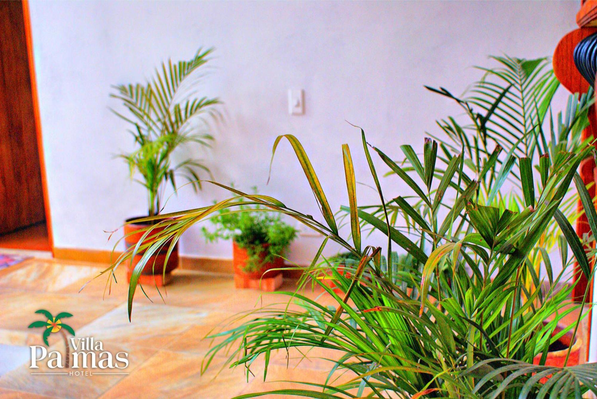 Palmas 2* Villa de Leyva