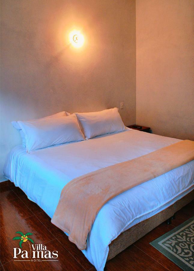 Palmas Villa de Leyva